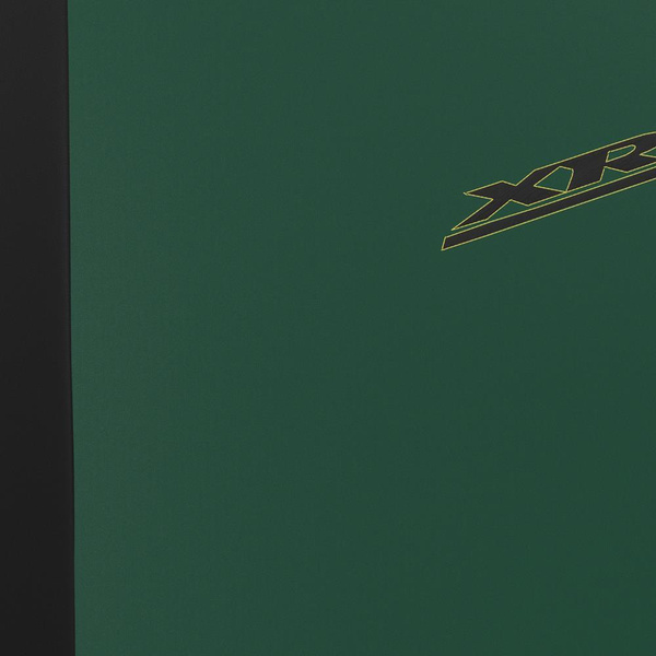 Universella sätesöverdrag till Citroen C3 Aircross I, II (2017-....) - grön