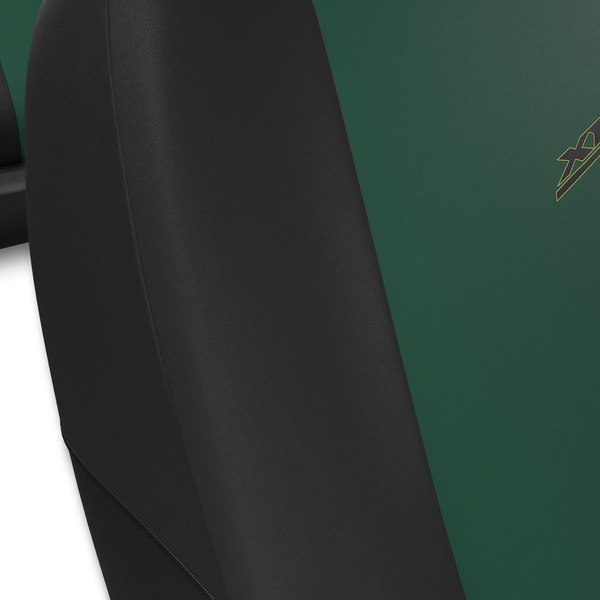 Universella sätesöverdrag till Citroen C3 Aircross I, II (2017-....) - grön